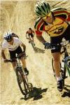 Group of people riding bicycles in a race