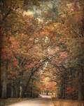 Grove Of Memories by Jai Johnson