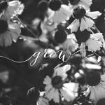 Grow by Laura Marshall