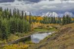 Gtnp Fall Color With Mountains by Galloimages Online
