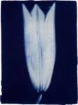 Hager - Closed Lilly2 by Hager