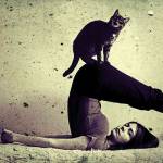 Halasana by Gosia Janik
