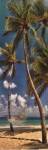 Hammock I by Doug Cavanah