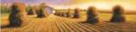Harvest by David Wander