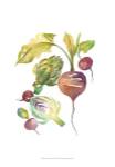 Harvest Medley VI by Chariklia Zarris
