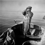 Hauling in a cod aboard a Portuguese fishing dory off Cape Cod, Massachusetts