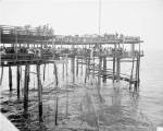 Hauling the Nets, Young's Pier, Atlantic City, NJ