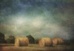 Hay Rolls by Dawne Polis