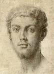 Head of a Man by Agnolo Bronzino