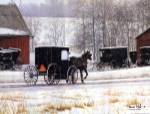 Heading Home by Bonnie Mohr