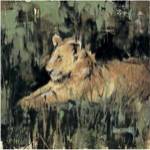 Heart of the Jungle IV by Liz Jardine