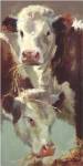 Hef 'n' Her by Carolyne Hawley