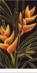 Heliconia by Yvette St. Amant