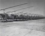 Helicopters in a row, Bell H-13D, Korean War