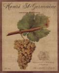 Henri St Germain by Wild Apple Studio