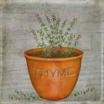 Herb Thyme by Beth Albert