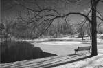 Heritage Pond In Winter by Monte Nagler