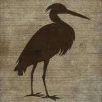 Heron by Beth Albert