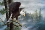 High and Mighty by Don Li-Leger