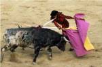 High angle view of a matador fighting with a bull, Spain