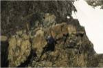 High angle view of a person mountain climbing, Ansel Adams Wilderness, California, USA