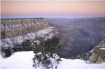 High angle view of a tree on a snow covered mountain, South Rim, Grand Canyon National Park, Arizona, USA