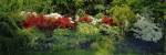 High Angle View Of Flowers In A Garden, Baltimore, Maryland, USA by Panoramic Images