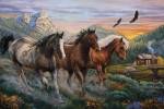 High Country Run by Cory Carlson