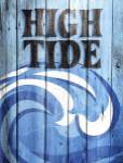 High Tide by Susan Ball
