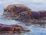 Hippo Pond by Cory Carlson