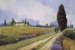 Holiday in Tuscany by Carolyne Hawley