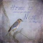 Home Is Wherever You Make Your Nest by Jai Johnson
