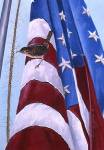 Home of the Free by Carol Decker