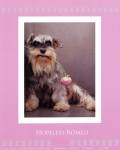Hopeless Romeo by Rachael Hale