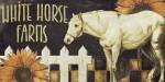 Horse by Color Bakery