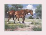 Horse and Colt by Jack Sorensen