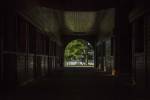 Horse Farm Barn (Inside And Out) by Galloimages Online