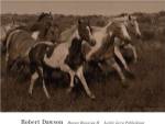 Horses Running II by Robert Dawson