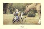 Horsing Around by Betsy Cameron