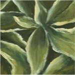 Hosta Detail I by Liz Nichols