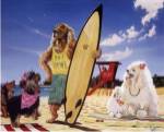 Hot Dawg by Scott Westmoreland