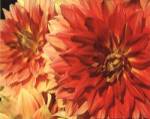 Hot Sun by Maureen Love