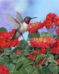 Hummingbird And Flower 2 by William Vanderdasson