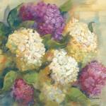 Hydrangea Delight II by Carol Rowan