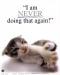 I Am Never... by Yoneo Morita