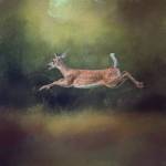 I Can Fly White Tailed Fawn by Jai Johnson