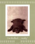 I'm Thrilled by Rachael Hale