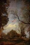 I Pledge Allegiance by Jai Johnson