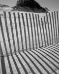 I.R. Fla Fence 2 by John Jones