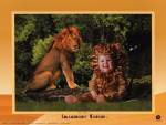 Imaginary Safari Lion by Tom Arma